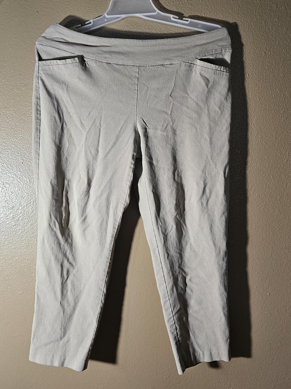 Terra & Sky Beige Casual Trouser Pants Size 0X 14W Petite